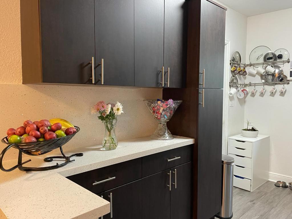 Brazilian Home Coral Gables Ngoại thất bức ảnh